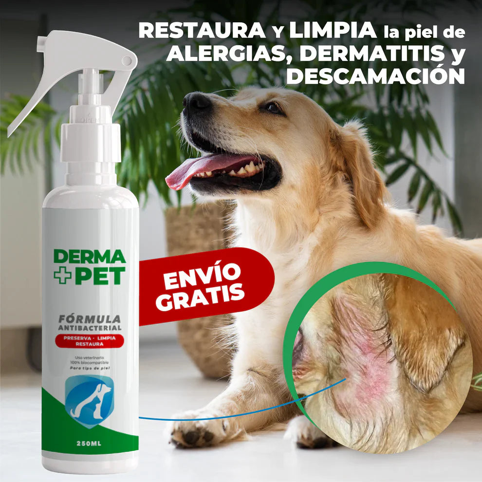 DERMA+PET