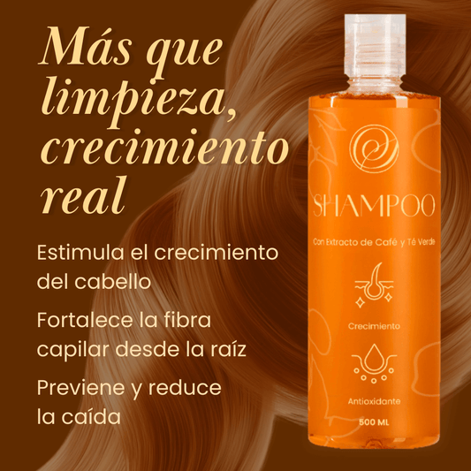 Champú ✨