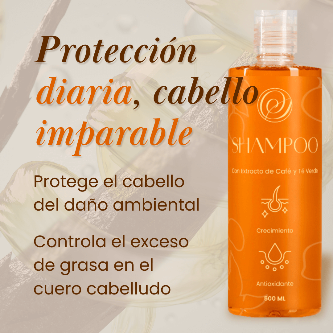 Champú ✨