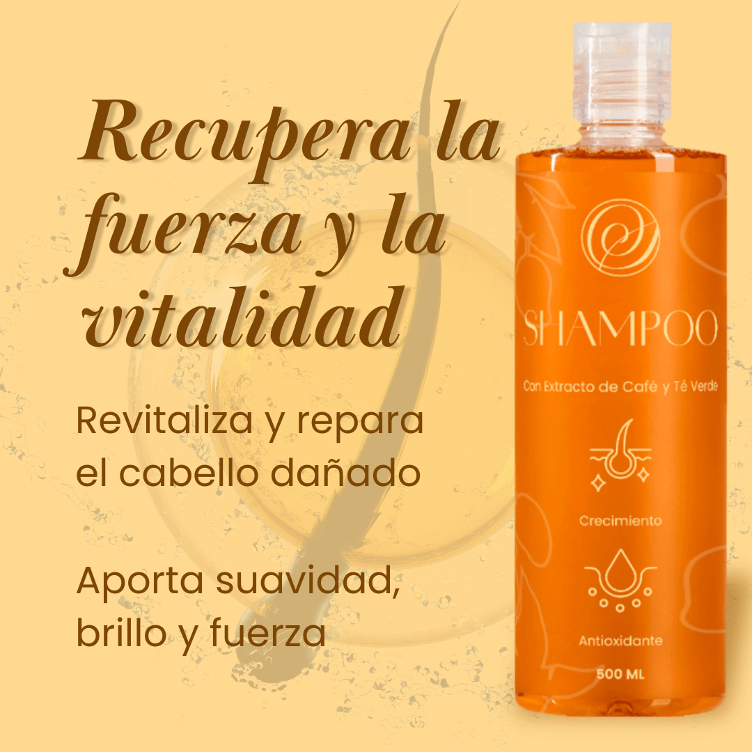 Champú ✨