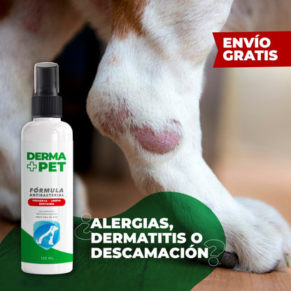 DERMA+PET