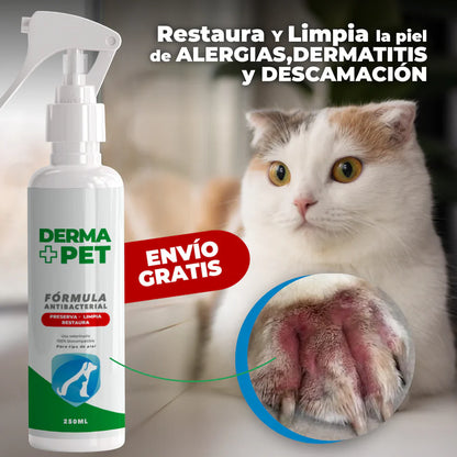 DERMA+PET