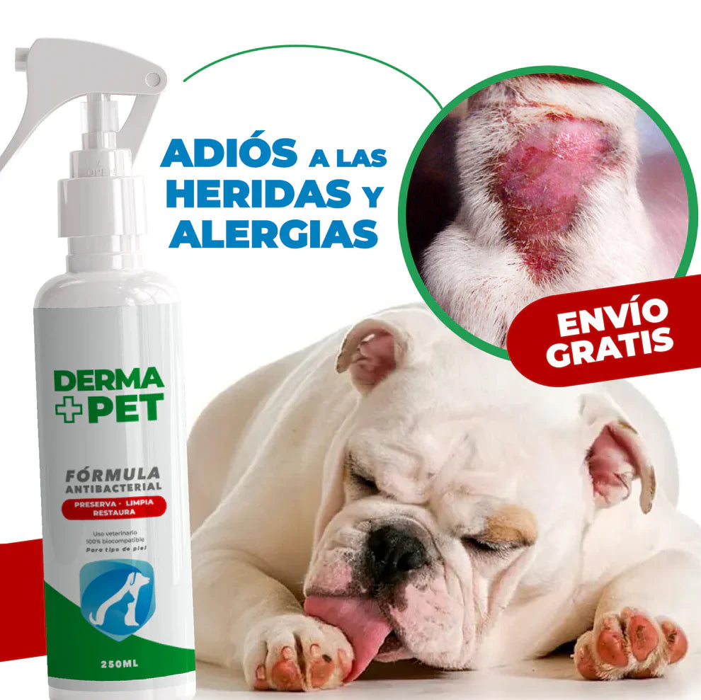 DERMA+PET