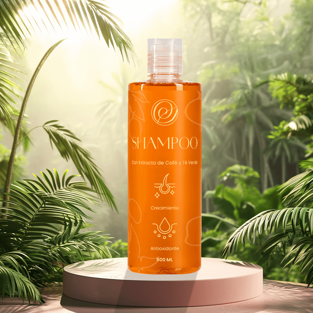 Champú ✨